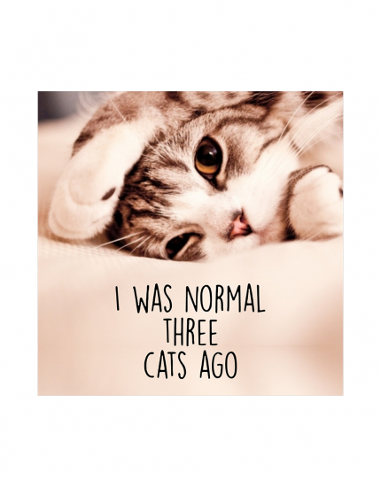 Μπλουζάκι με τύπωμα I was normal three cats ago
