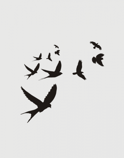 Μπλουζάκι με στάμπα Flying Birds
