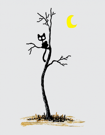 Μπλουζάκι με τύπωμα Cat in the dark
