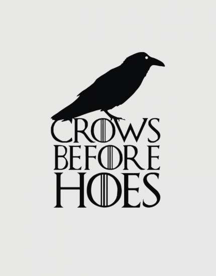 Μπλουζάκι με στάμπα Crows before hoes