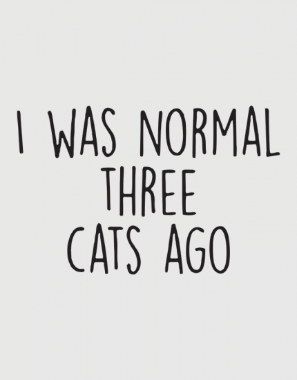 Μαξιλάρι με τύπωμα I was normal three cats ago