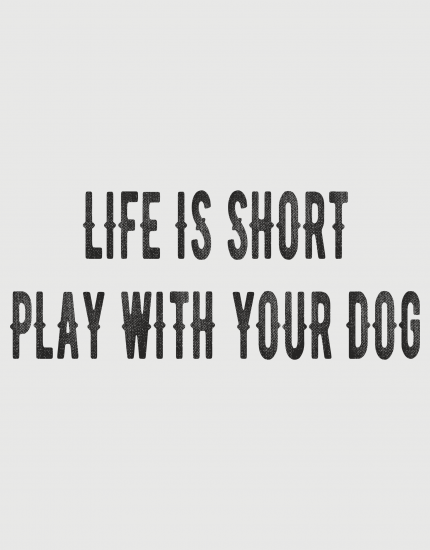 Μπλουζάκι με τύπωμα Life is short