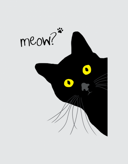 ανδρικό t-shirt  λευκό με στάμπα Meow?