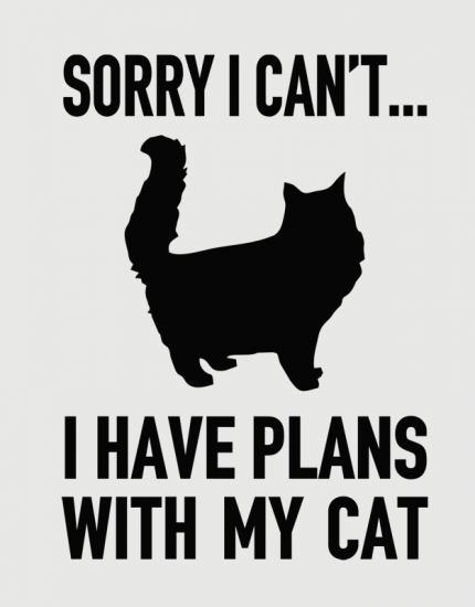 Μπλουζάκι με τύπωμα Ι have plans with my cat
