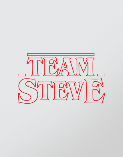 Μπλουζάκι με τύπωμα Team Steve