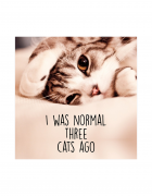 Μπλουζάκι με τύπωμα I was normal three cats ago