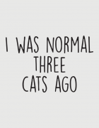 Κούπα κεραμική με τύπωμα I was normal three cats ago