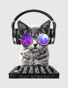 Μπλουζάκι με στάμπα DJ Cat